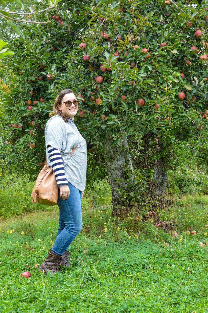 apple-picking-near-nyc